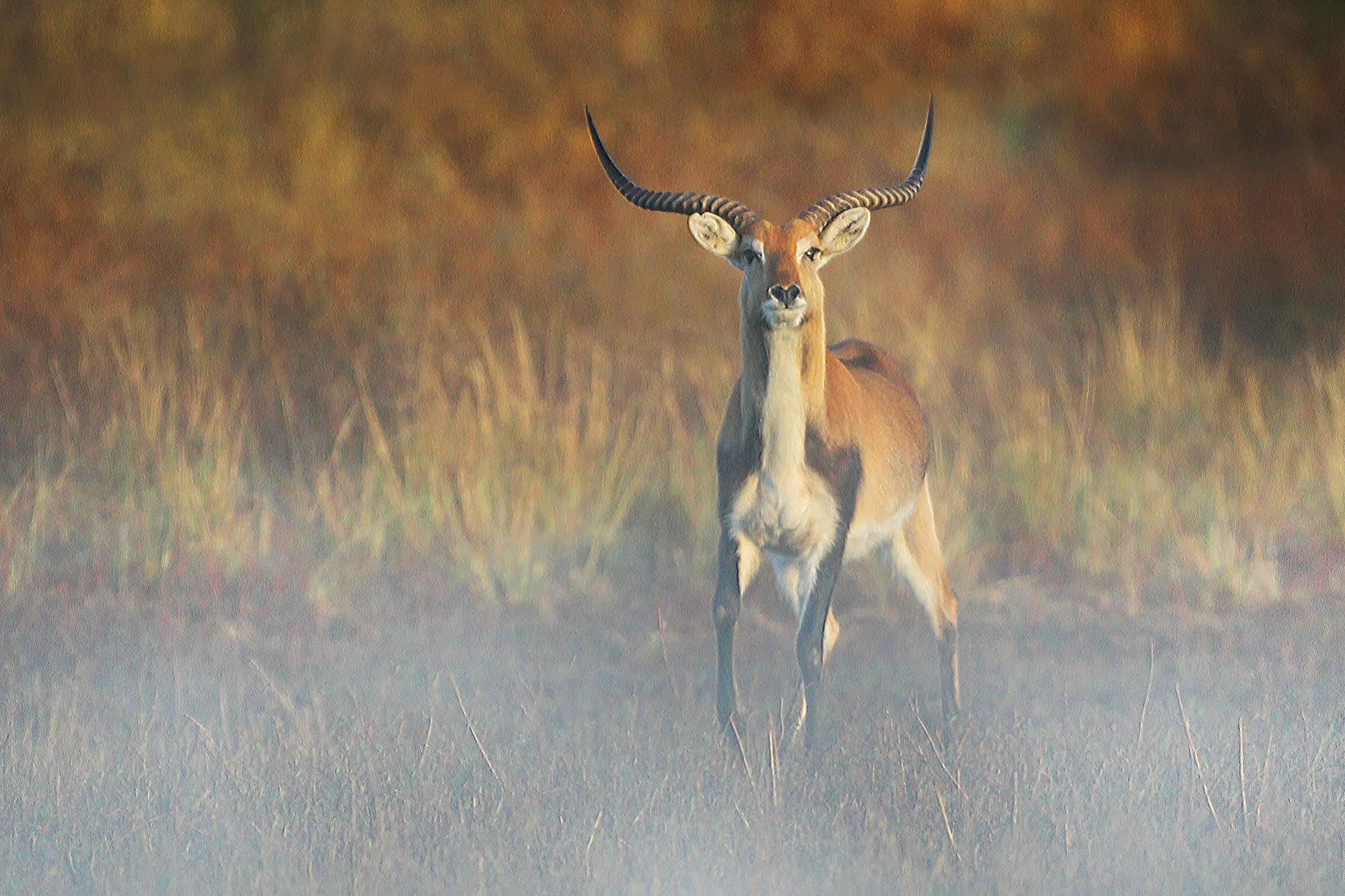 Bona Bona Game Lodge Wolmaranstad Esterno foto